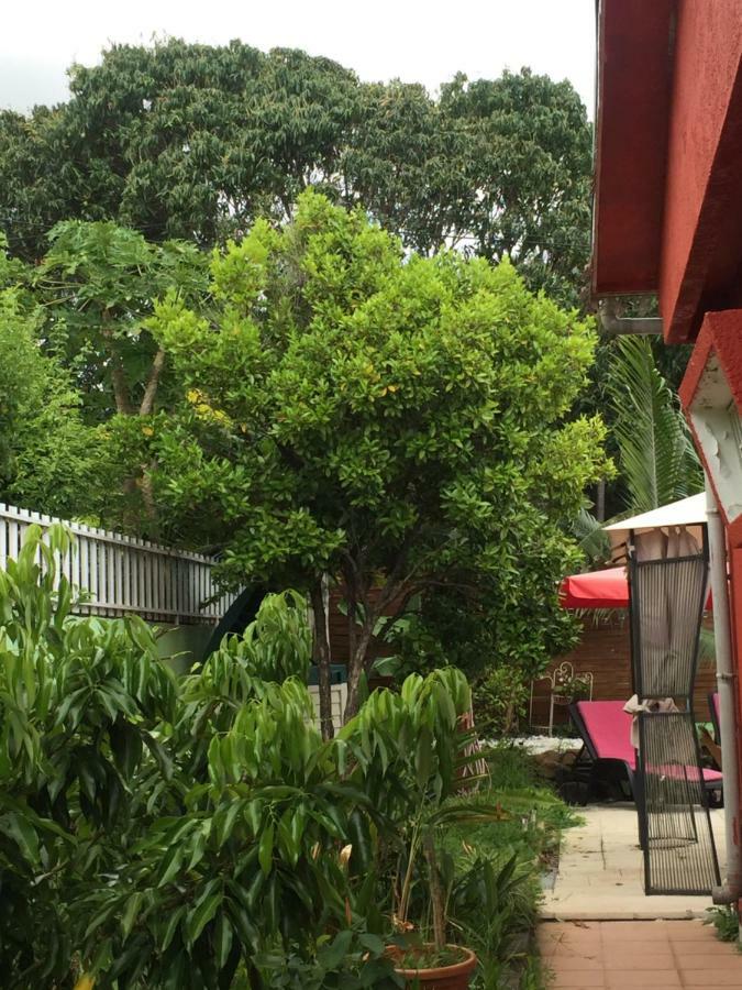 Apartamento Vyvyrun974 Les Cocos Exterior foto
